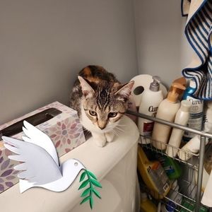 Meet your Posher, Emma